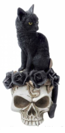 Alchemy of England The Vault - Grimalkin's Ghost - Zwarte kat op doodskop met rozen - 18.5 cm hoog