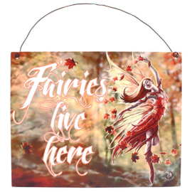 Metalen wandbord Anne Stokes - Fairies live here - 19 x 24 cm