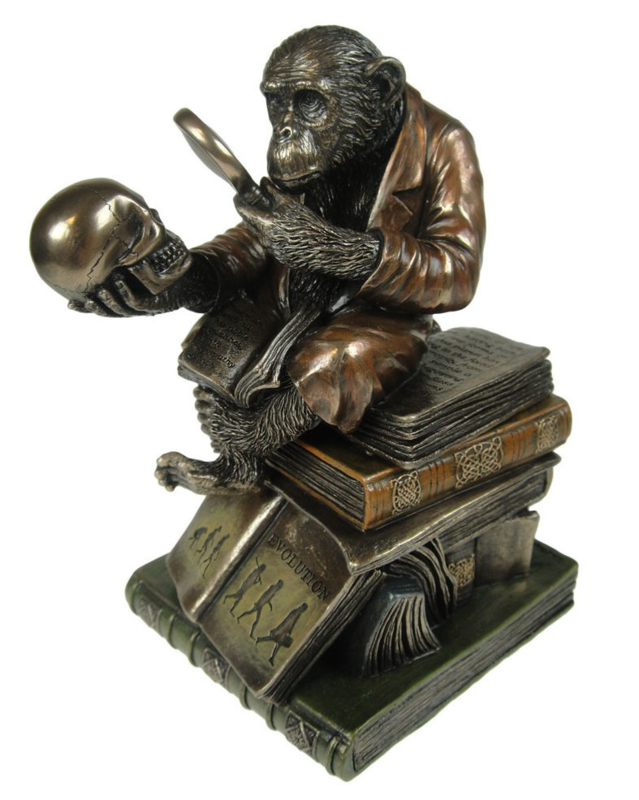 Darwinisme - bronzen - aap met doodskop en vergrootglas - 17.5 cm hoog | Design beelden van Nemesis Now | WEBWINKEL EXOTIEK