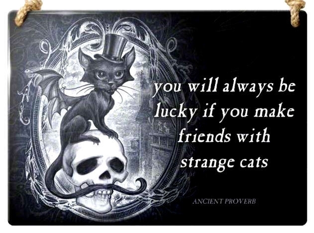 Emaille wandborden alchemy - Strange cats