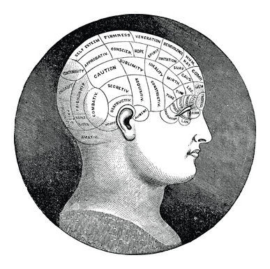 phrenology head.jpg