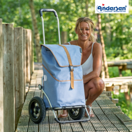 Boodschappenwagen met luchtbanden, Royal Shopper Auke Flieder