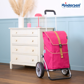 Boodschappenwagen met grote wielen met kogellagers, Royal Shopper Auke Rubin