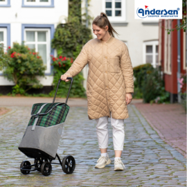 Boodschappenwagen met 4 wielen, ook om te duwen, Quattro Shopper Gese Groen