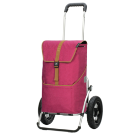 Boodschappenwagen met extra grote luchtbanden van 29 cm, Royal Shopper Auke Rubin
