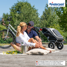 Boodschappenwagen met extra grote luchtbanden van 29 cm, Royal Shopper Hydro 2.1 zwart