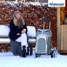 Boodschappenwagen met grote wielen met kogellagers, Royal Shopper Hydro 2.1 grijs