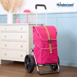 Boodschappenwagen met extra grote kogellager-wielen van 29 cm, Royal Shopper Auke Rubin