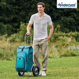 Boodschappenwagen met extra grote luchtbanden van 29 cm, Royal Shopper Hydro 3.0 petrol