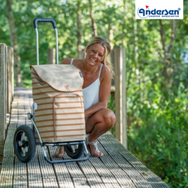 Boodschappenwagen met extra grote luchtbanden van 29 cm, Royal Shopper Elske bruin