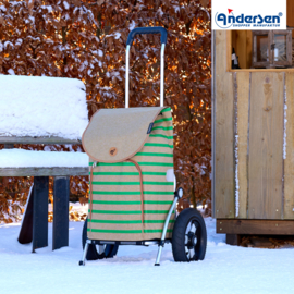 Boodschappenwagen met extra grote luchtbanden van 29 cm, Royal Shopper Elske groen