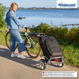 Boodschappenwagen met grote wielen en spatborden voor achter de fiets, Royal Shopper Plus Fado 3.0 zwart