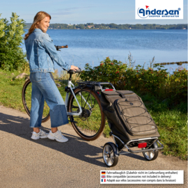 Boodschappenwagen met grote wielen en spatborden voor achter de fiets, Royal Shopper Plus Fado 3.0 olijf