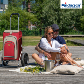 Boodschappenwagen met extra grote kogellager-wielen van 29 cm, Royal Shopper Hydro 2.1 rood