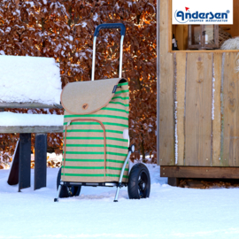 Boodschappenwagen met luchtbanden, Royal Shopper Eske groen