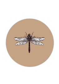 MINI DRAGONFLY BROWN