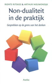 R. Ritskes & A. Nieuwendijk: Non-dualiteit in de praktijk - gesprekken op de grens van het denken