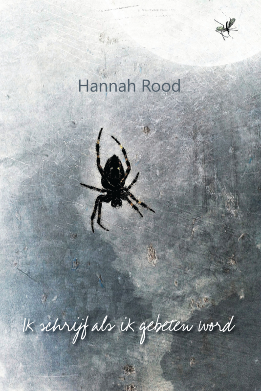 Hannah Rood: Ik schrijf als ik gebeten wordt - dichtbundel met foto's