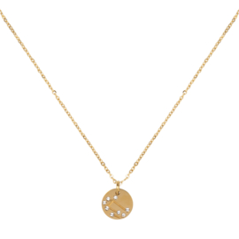 Gemini/tweelingen  necklace ,stainless-steel plated with 18k gold met giftcard en envelop