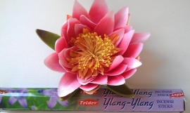 Ylang Ylang (20 sticks)