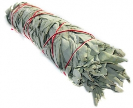 Witte salie smudge stick 100 gram-XL