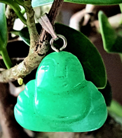 Jade groen boeddha edelsteenhanger 17 x 20mm