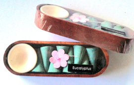 Eucalyptus wierookkegel giftsetje