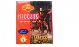 Success kegeltjes (10 stuks)