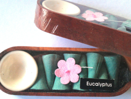 Eucalyptus wierookkegel giftsetje