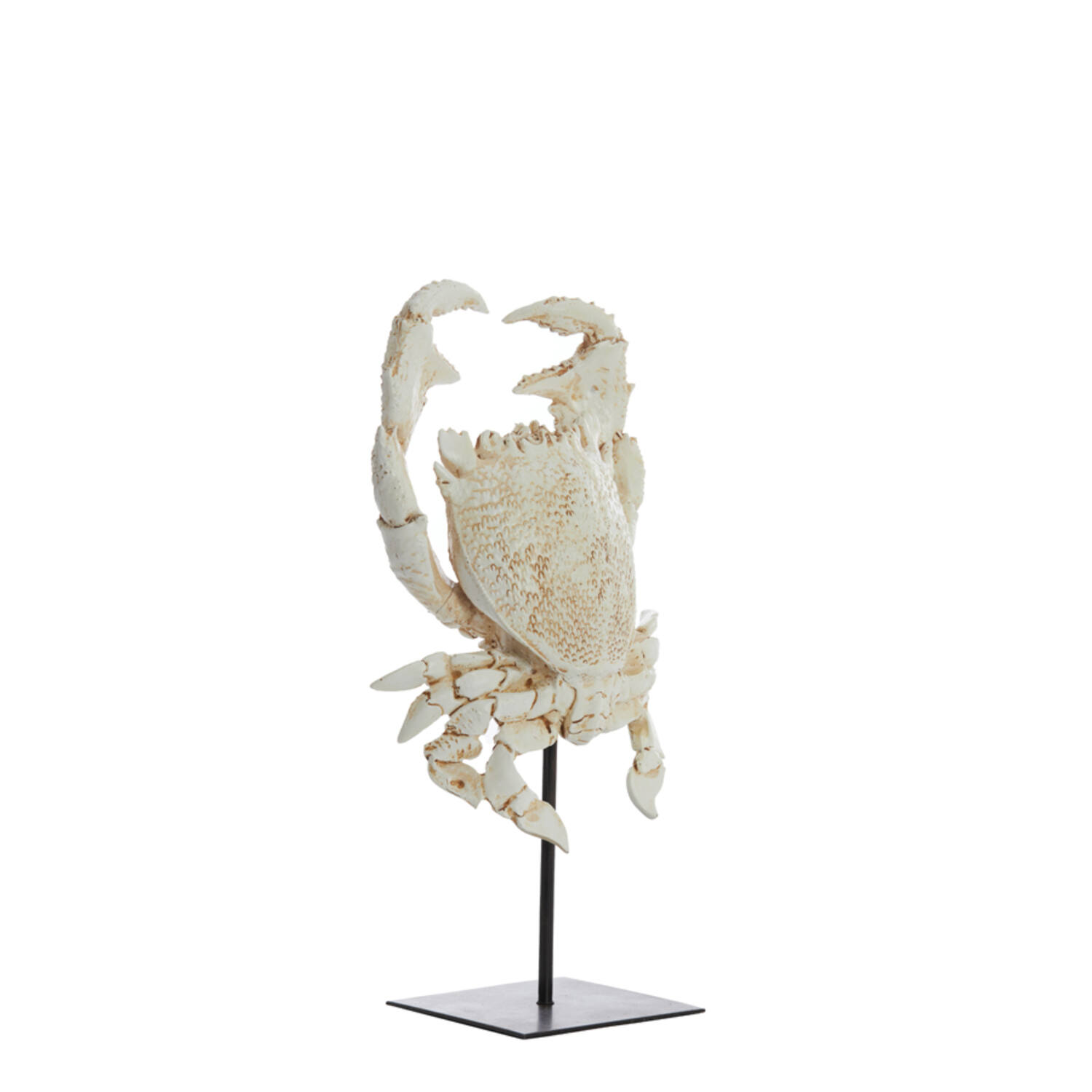 Crab