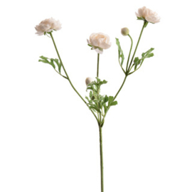 Ranunculus Spray x3 66cm Cream