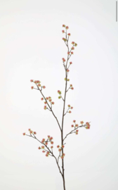 Blossom Branch