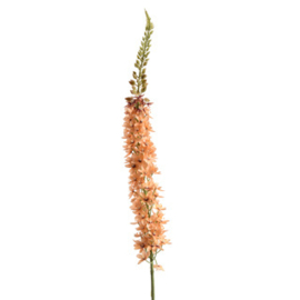 Foxtail Flower spray 115 cm