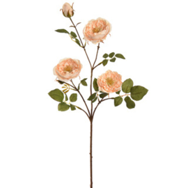 Garden Rose Spray 65 cm Vanillia