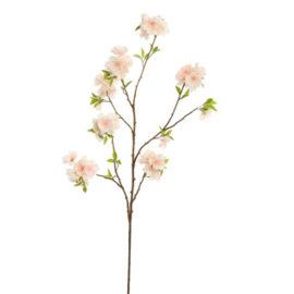 Large Peach Blossom 115 cm