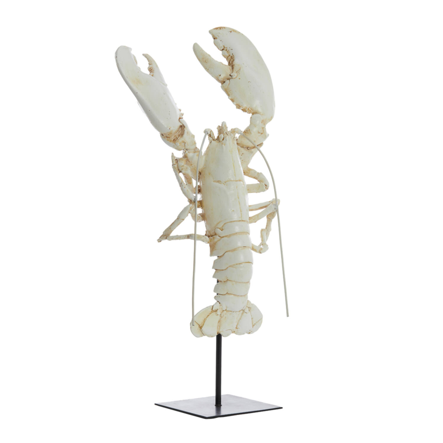 Lobster