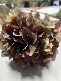 Hortensia 65 cm Sylxz > mix oud roze/ sober groen