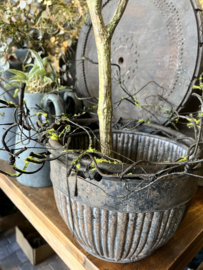 Wilgen krans Ø 30 cm ( grillig )