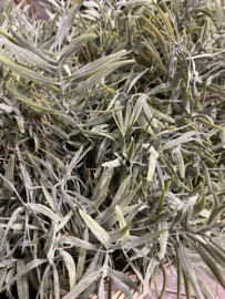 Bush Bamboo Grey 38 cm