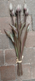 Tulpen Grijs  dichte knop > bos van 7 stuks , lengte 45 cm