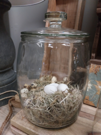 Glaspot met deksel > XL > h33 x 25 cm