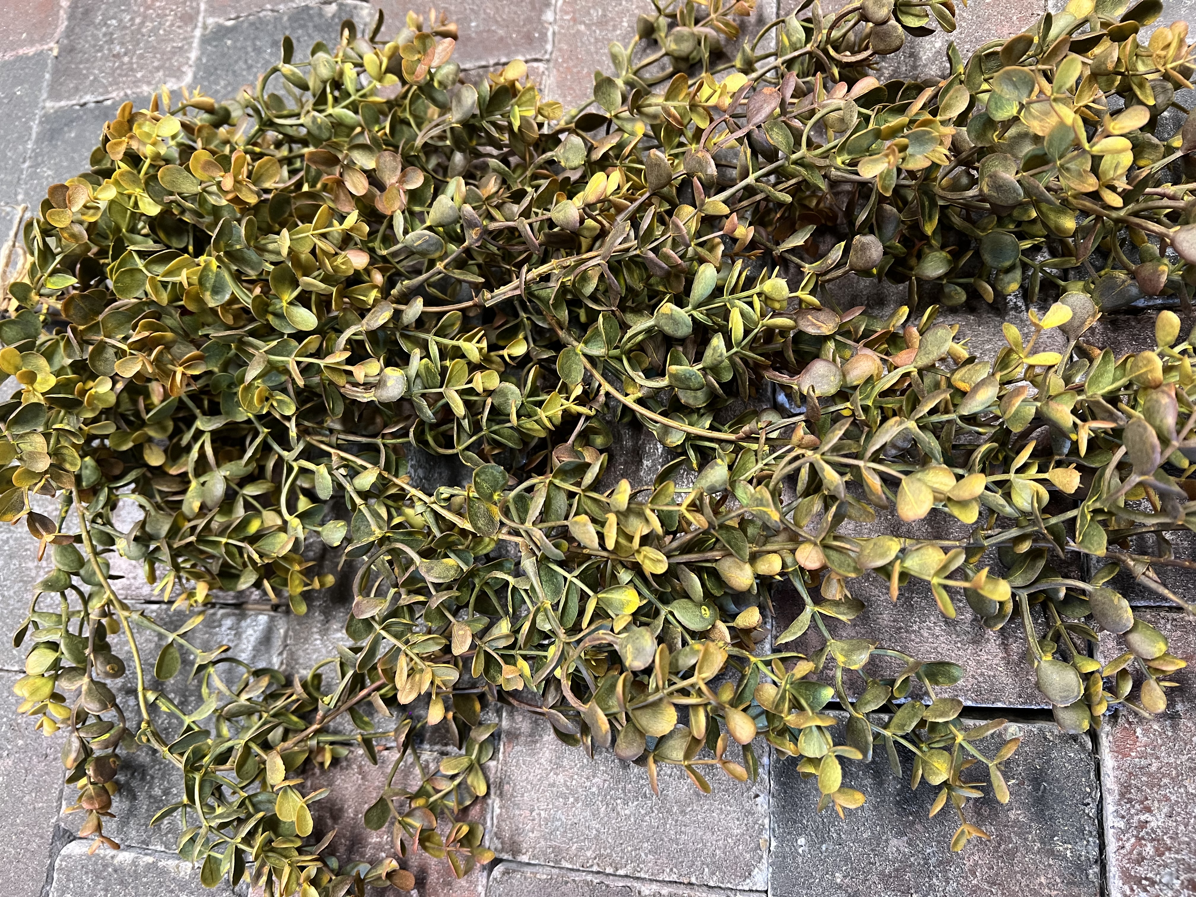 XL toef eucalyptus groen/bruin >
