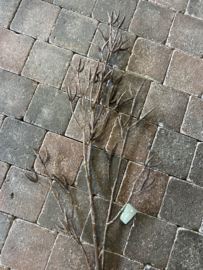 Twig Birch Brown 90 cm