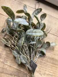 Bush Stachys Grey 32 cm