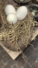 Hanging Tillandsia Brown 120 cm