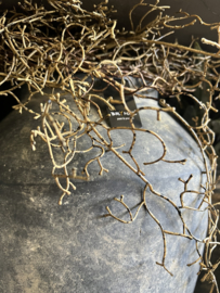 Hanging Tillandsia Brown 120 cm