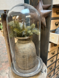 XXL hoge glas stolp > h 60 cm