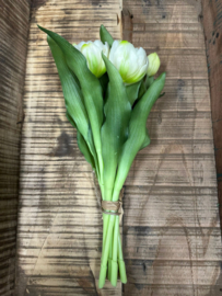 Tulpen bos/7  Dubbel / Cream  30 cm