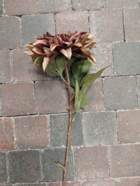 Semporna/Dahlia bruin 66x16cm