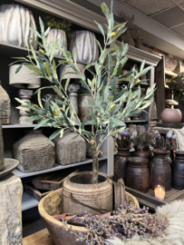 Silk Olive Tree > 90 cm